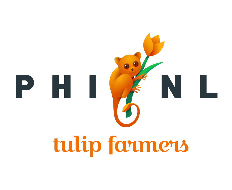 Phinl – We love tulips